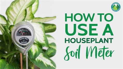 moisture meter for grass|moisture meter guide for houseplants.